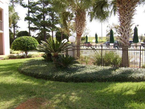 Cabot Lodge - Lake City Dış mekan fotoğraf